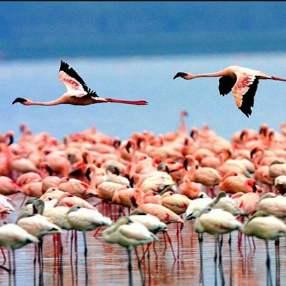 Lake Manyara National Park