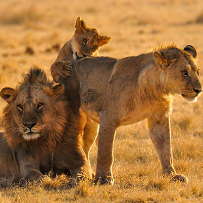 Serengeti National Park