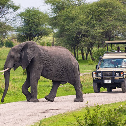 Tarangire National Park