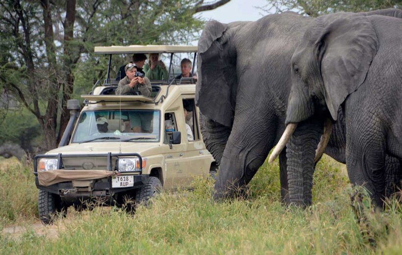 7 Day Adventures Tanzania Safaris