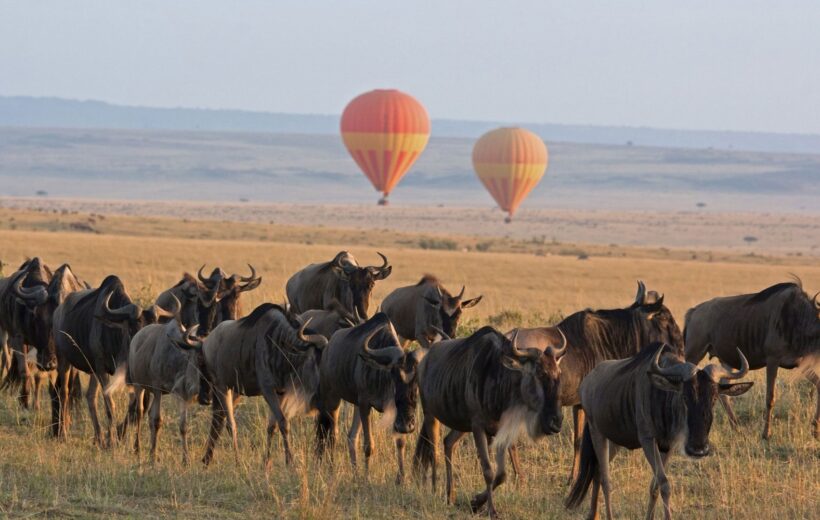 7-Day Western Serengeti Migration Safari (May to Jul)