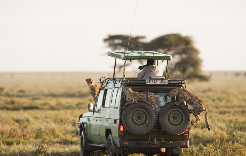 6-Day Luxury Safari Tarangire, Ngorongoro, Serengeti