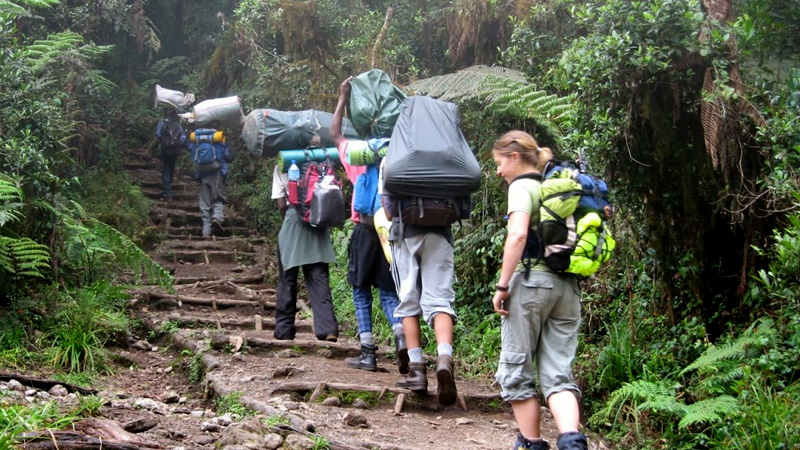 7 Day Kilimanjaro Climb Umbwe Route